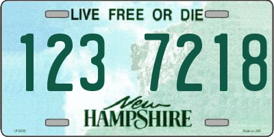 NH license plate 1237218