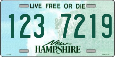 NH license plate 1237219
