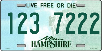 NH license plate 1237222