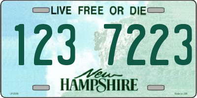 NH license plate 1237223