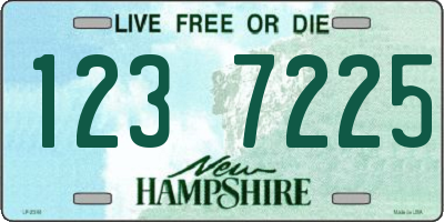 NH license plate 1237225