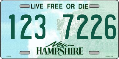 NH license plate 1237226