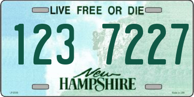 NH license plate 1237227