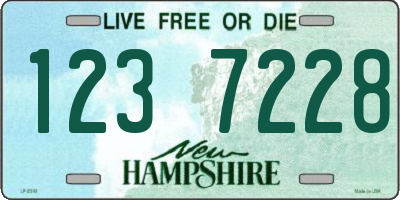 NH license plate 1237228