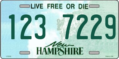 NH license plate 1237229