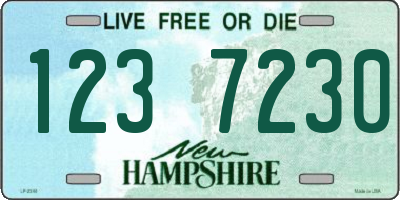 NH license plate 1237230