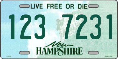 NH license plate 1237231