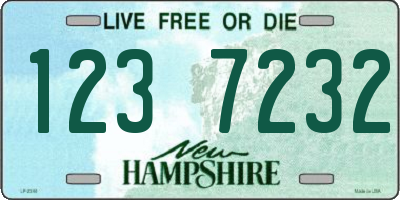 NH license plate 1237232