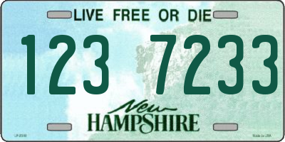 NH license plate 1237233