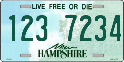 NH license plate 1237234