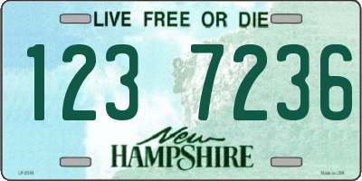 NH license plate 1237236