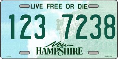 NH license plate 1237238