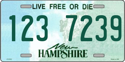 NH license plate 1237239