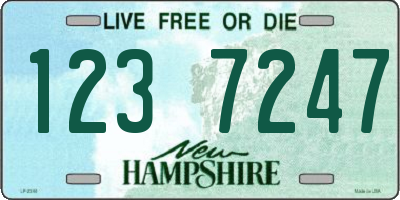 NH license plate 1237247