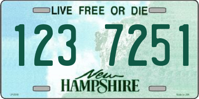 NH license plate 1237251
