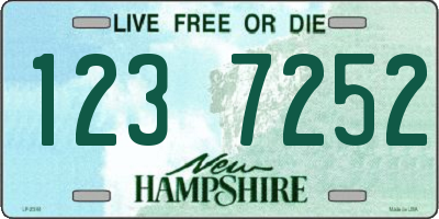 NH license plate 1237252