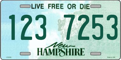 NH license plate 1237253