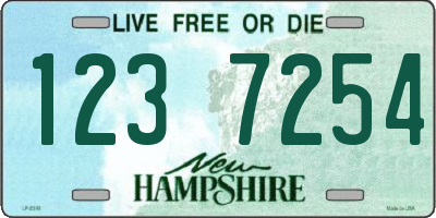 NH license plate 1237254