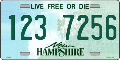 NH license plate 1237256