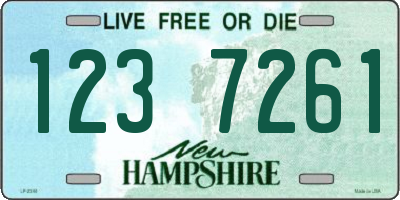 NH license plate 1237261