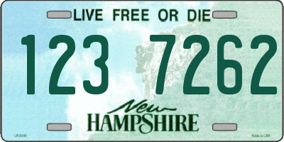 NH license plate 1237262