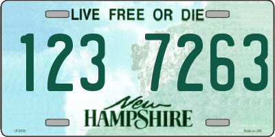 NH license plate 1237263
