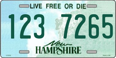 NH license plate 1237265