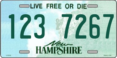 NH license plate 1237267