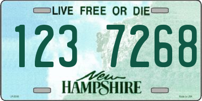 NH license plate 1237268