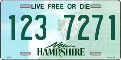 NH license plate 1237271