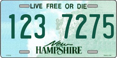 NH license plate 1237275