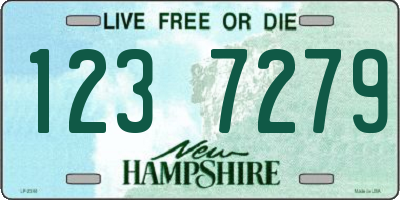 NH license plate 1237279