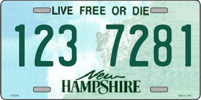 NH license plate 1237281