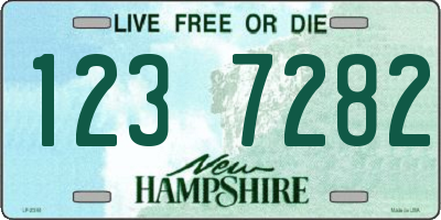 NH license plate 1237282