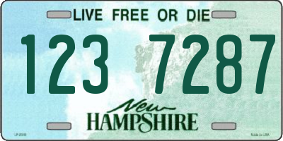 NH license plate 1237287