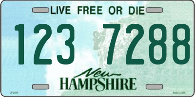 NH license plate 1237288