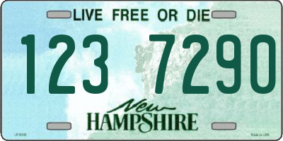 NH license plate 1237290