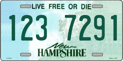 NH license plate 1237291