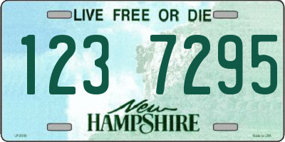 NH license plate 1237295
