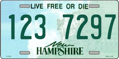 NH license plate 1237297