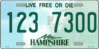 NH license plate 1237300