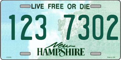 NH license plate 1237302