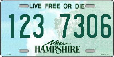 NH license plate 1237306