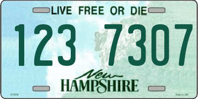 NH license plate 1237307