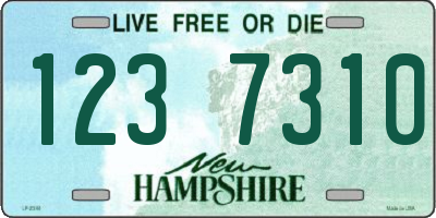 NH license plate 1237310