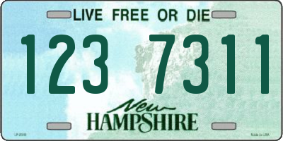 NH license plate 1237311