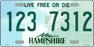 NH license plate 1237312