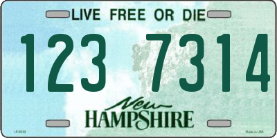 NH license plate 1237314