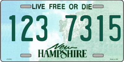 NH license plate 1237315