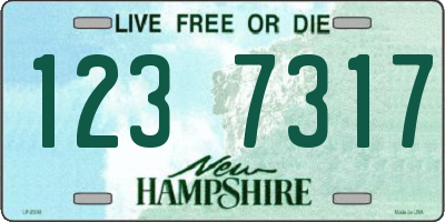 NH license plate 1237317